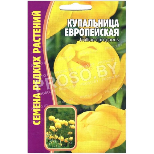 Купальница Европейская
