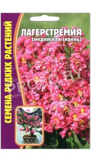 Лагерстремия Индийская сирень