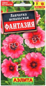Лапчатка непальская Фантазия