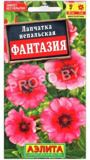 Лапчатка непальская Фантазия