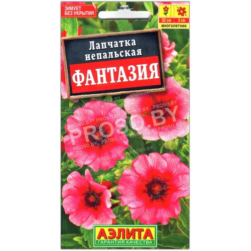 Лапчатка непальская Фантазия