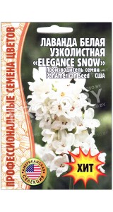 Лаванда белая узколистная Elegance show