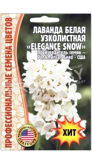 Лаванда белая узколистная Elegance show