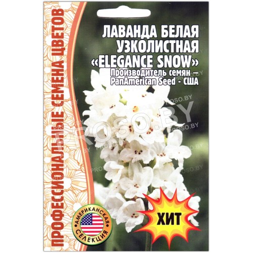 Лаванда белая узколистная Elegance show