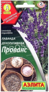 Лаванда декоративная Прованс