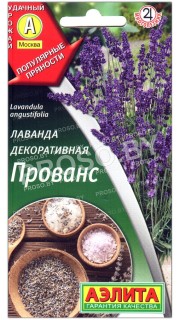 Лаванда декоративная Прованс