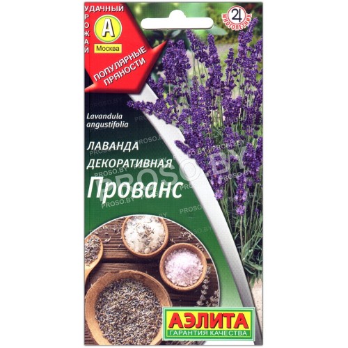 Лаванда декоративная Прованс
