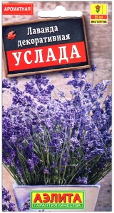 Лаванда декоративная Услада