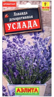 Лаванда декоративная Услада