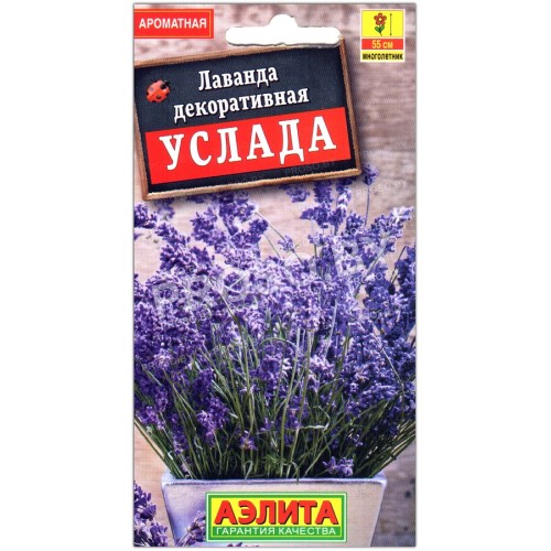 Лаванда декоративная Услада