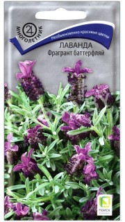 Лаванда Фрагрант баттерфляй