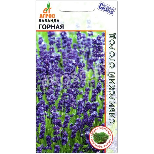Лаванда Горная