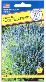 Лаванда Манстид стрейн