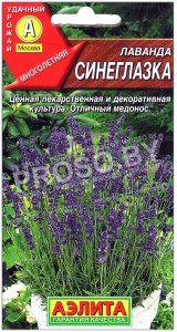 Лаванда Синеглазка