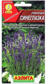 Лаванда Синеглазка