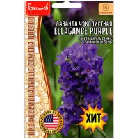 Лаванда узколистная Ellagance purple