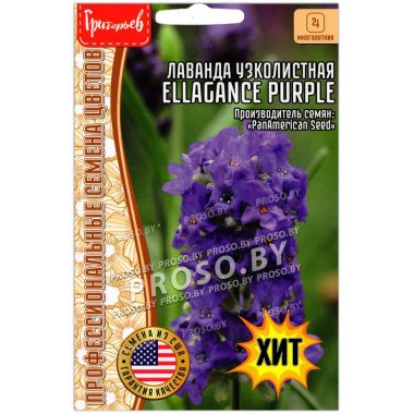Лаванда узколистная Ellagance purple