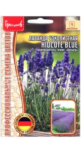 Лаванда узколистная Hidcote blue