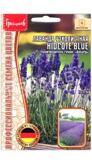 Лаванда узколистная Hidcote blue