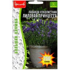 Лаванда узколистная Лиловая принцесса