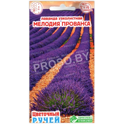 Лаванда узколистная Мелодия прованса