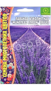 Лаванда узколистная Munstead strain blue