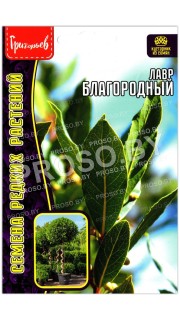 Лавр Благородный
