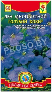 Лен многолетний Голубой ковер