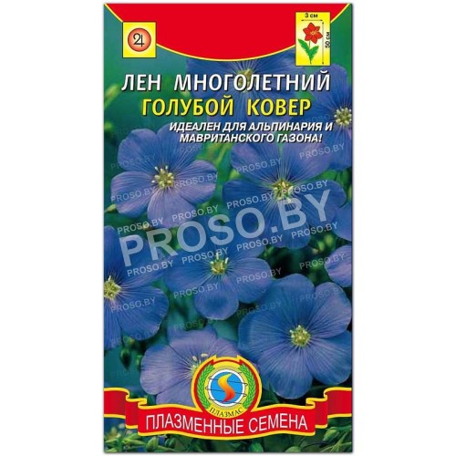 Лен многолетний Голубой ковер