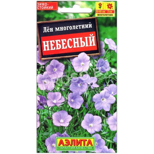 Лен многолетний Небесный