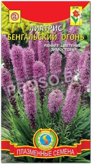 Лиатрис Бенгальский огонь