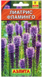 Лиатрис колосковый Фламинго