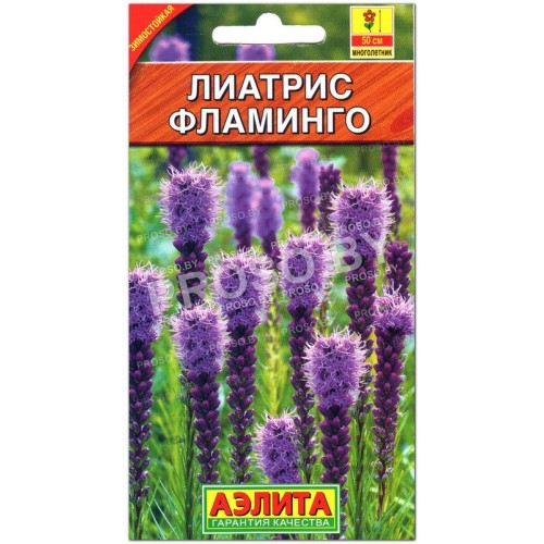 Лиатрис колосковый Фламинго
