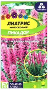 Лиатрис Пикадор