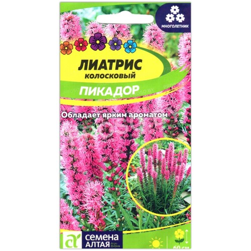 Лиатрис Пикадор
