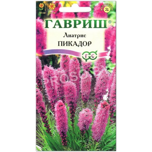 Лиатрис Пикадор-1