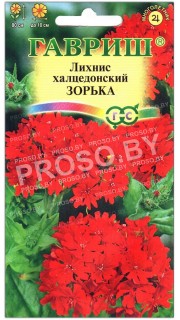 Лихнис халцедонский Зорька