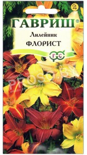 Лилейник Флорист