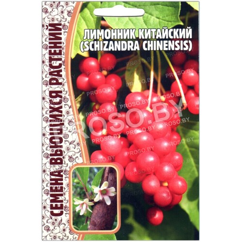 Лимонник китайский Schizandra chinensis