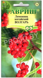 Лимонник китайский Волгарь