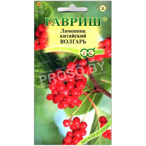 Лимонник китайский Волгарь