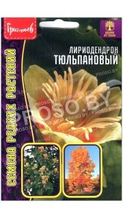 Лириодендрон Тюльпановый