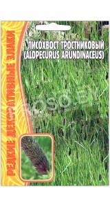 Лисохвост тростниковый Alopecurus arundinaceus