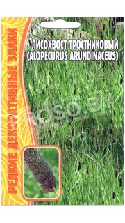 Лисохвост тростниковый Alopecurus arundinaceus