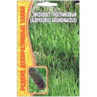Лисохвост тростниковый Alopecurus arundinaceus