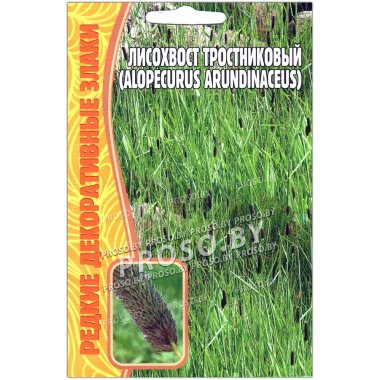 Лисохвост тростниковый Alopecurus arundinaceus