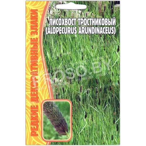 Лисохвост тростниковый Alopecurus arundinaceus