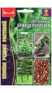 Лиственница Принца рупрехта