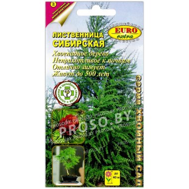 Лиственница Сибирская