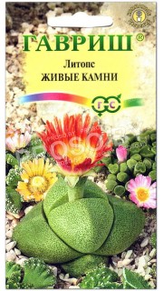Литопс Живые камни